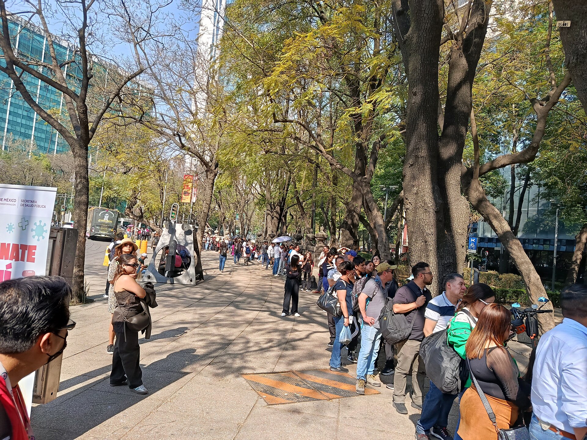 Fila de personas en una avenida arbolada de la Ciudad de México esperando vacunarse contra el sarampión en febrero de 2026